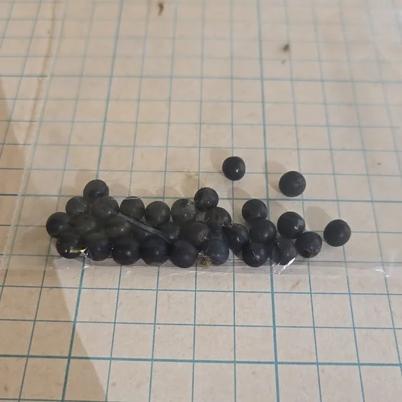 Canna seed  st1-st8 - Picture 2 of 6